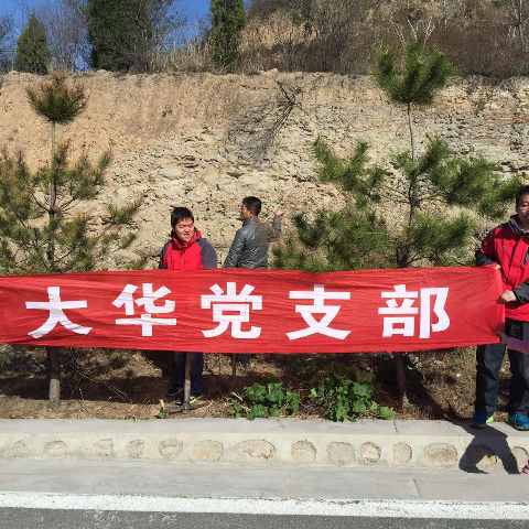 大华党支部义务植树.JPG